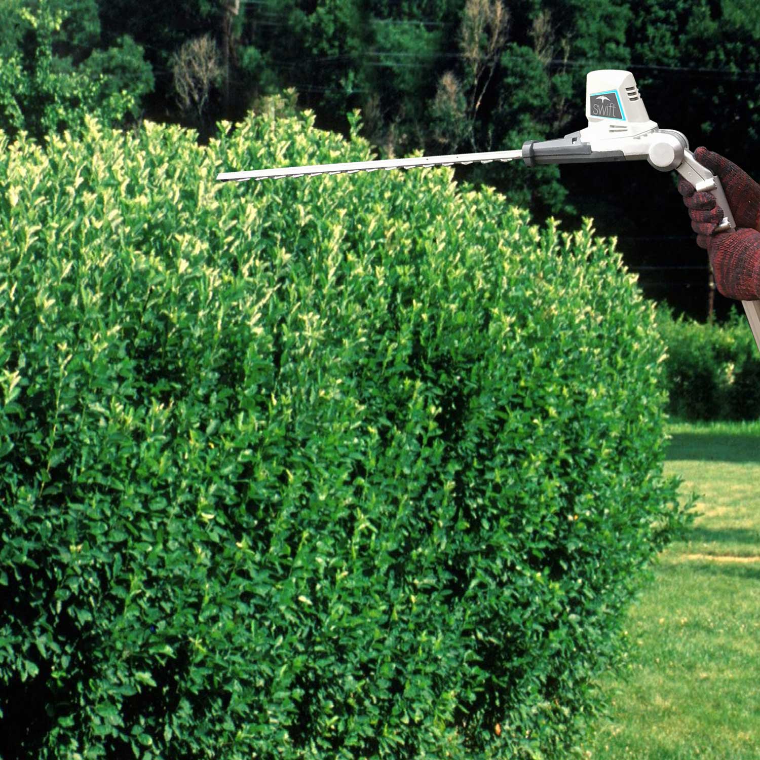 40v Long Reach Hedge Trimmer